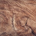 Patologías de la madera: grietas y fisuras en la veta