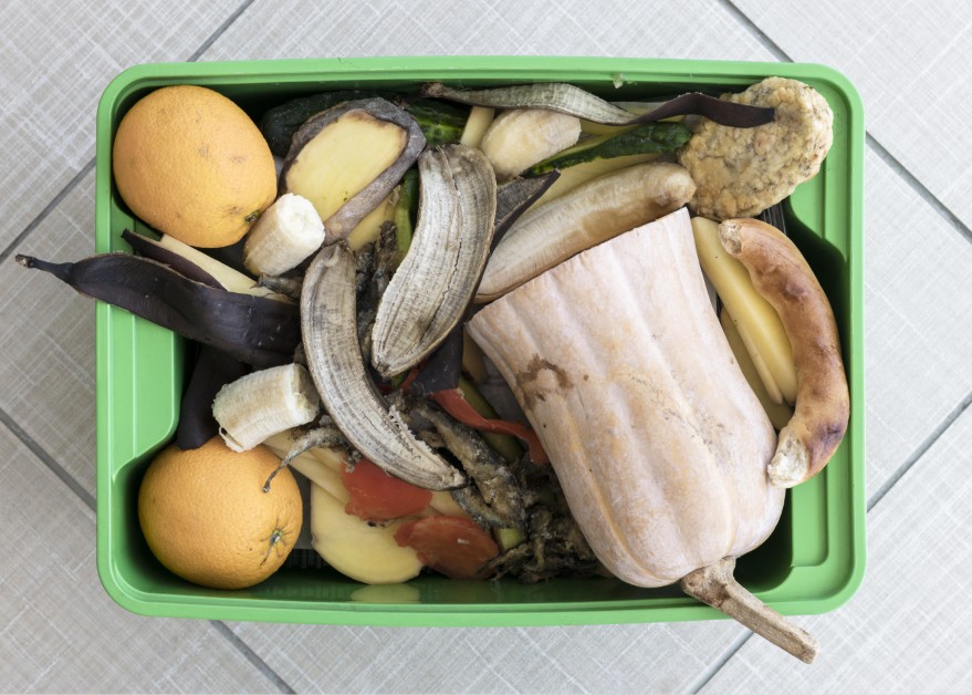 alimentos en la basura